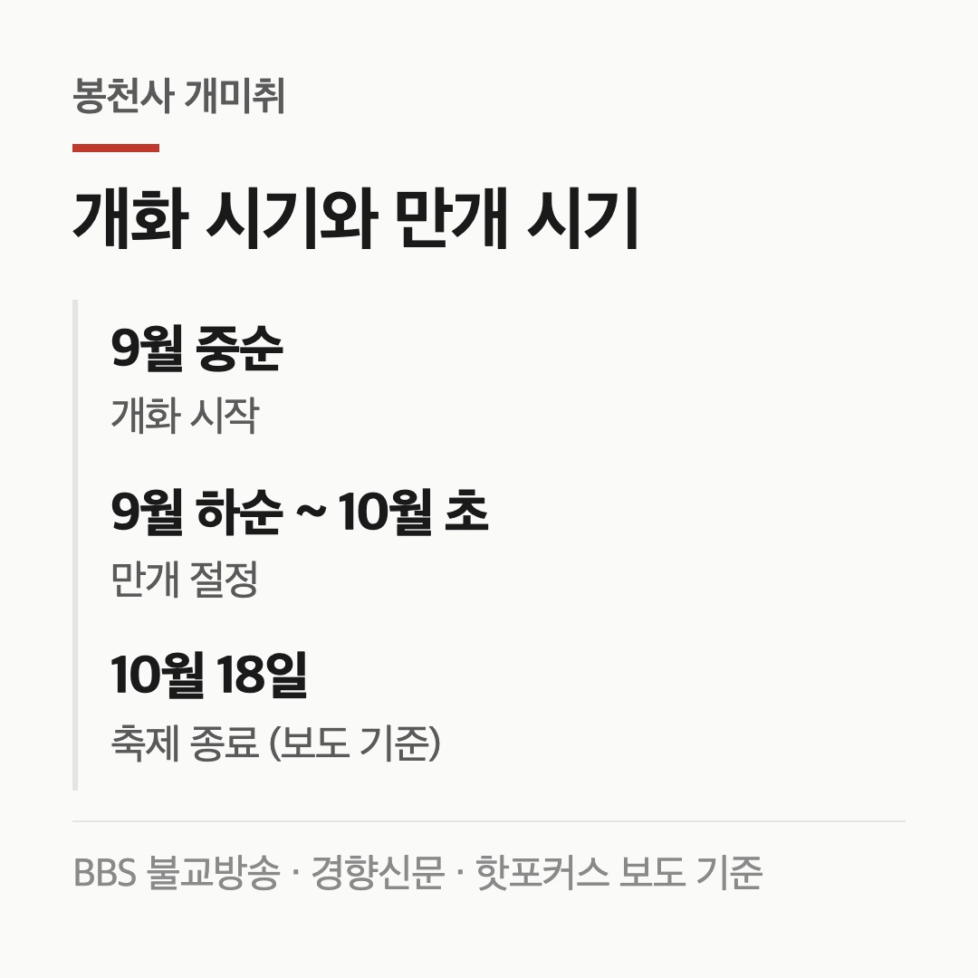 개미취 개화 시작과 만개 시기를 가로 타임라인으로 표시한 카드